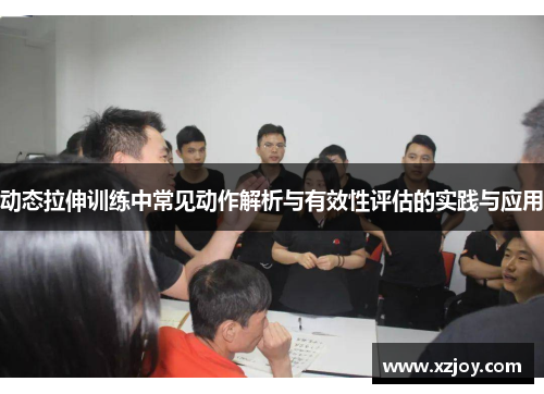 动态拉伸训练中常见动作解析与有效性评估的实践与应用