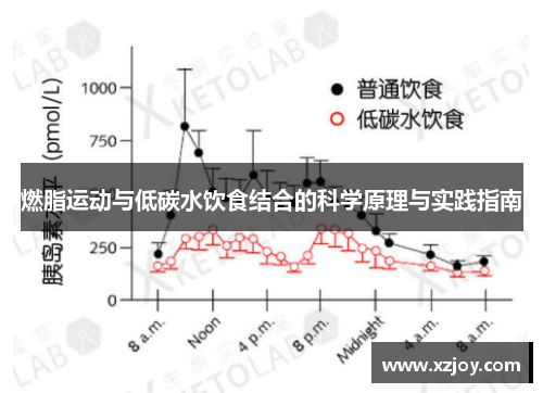 燃脂运动与低碳水饮食结合的科学原理与实践指南